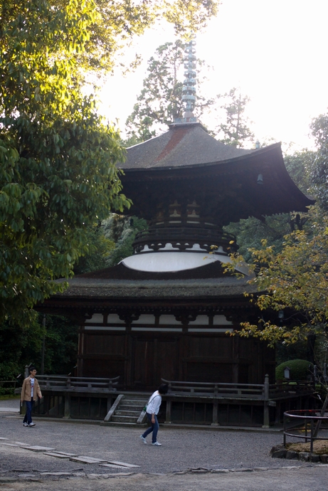 b0080789_1647849.jpg