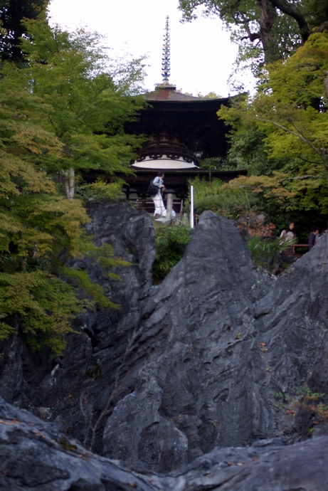 b0080789_16532698.jpg