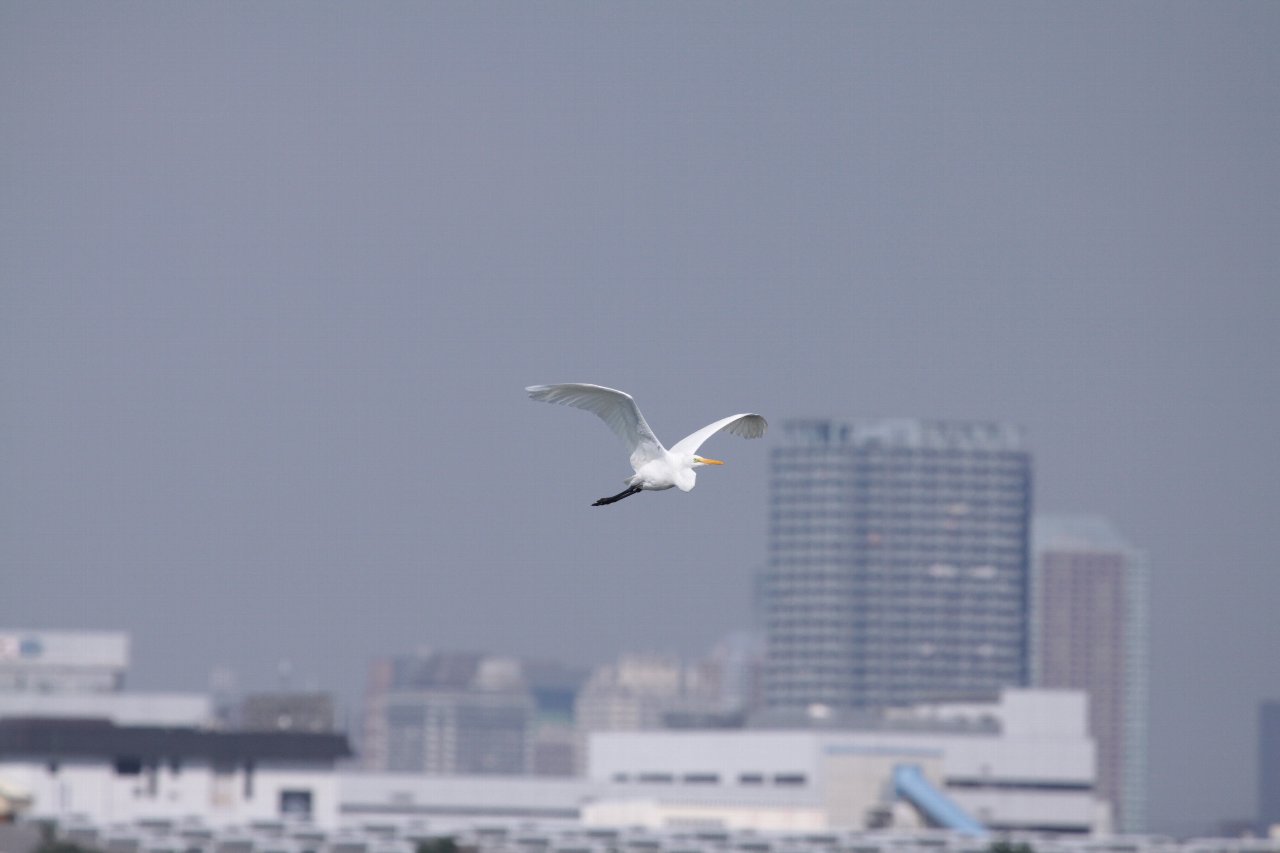 e0167295_2237950.jpg