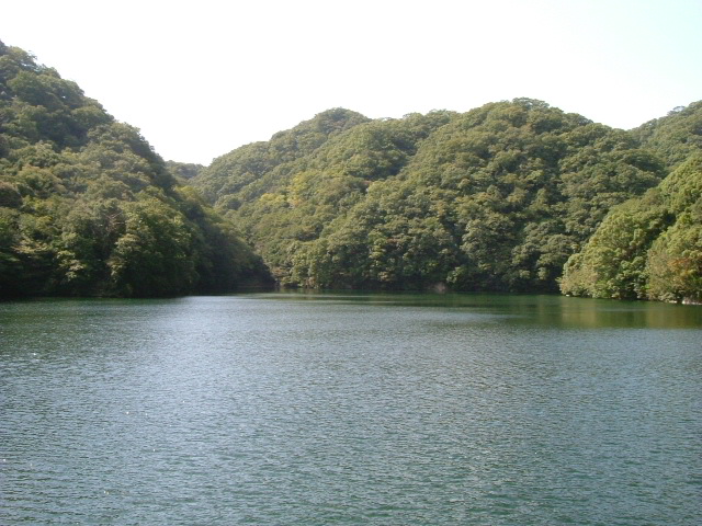 b0044296_20332815.jpg