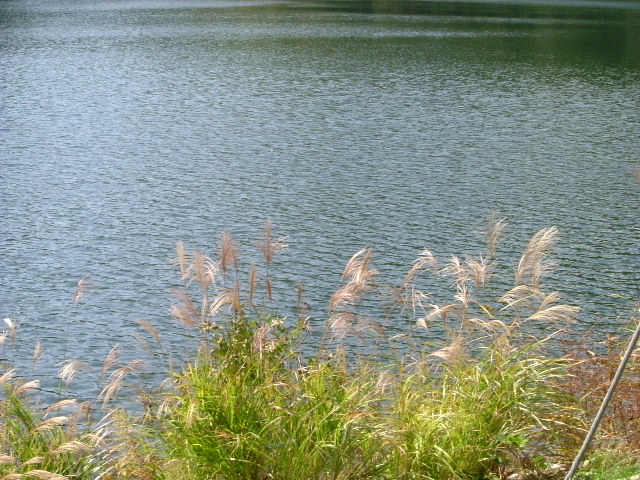 b0044296_20344387.jpg