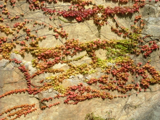 b0044296_20353269.jpg