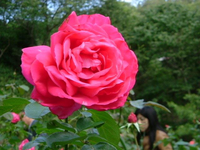 b0044296_20403085.jpg