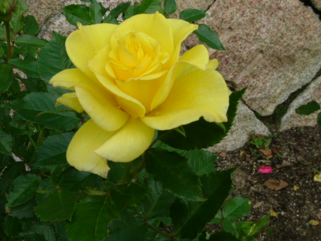 b0044296_2041317.jpg