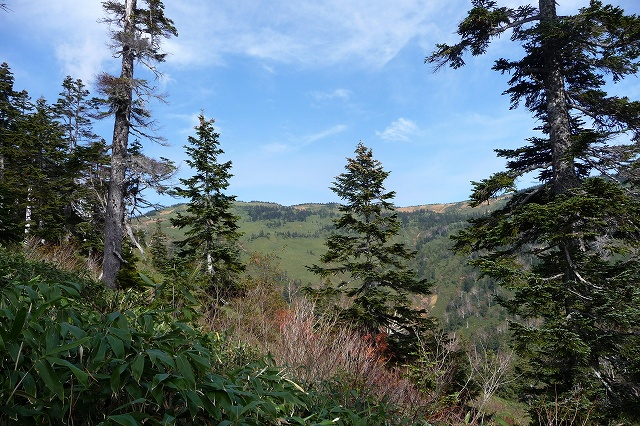 e0137200_051229.jpg