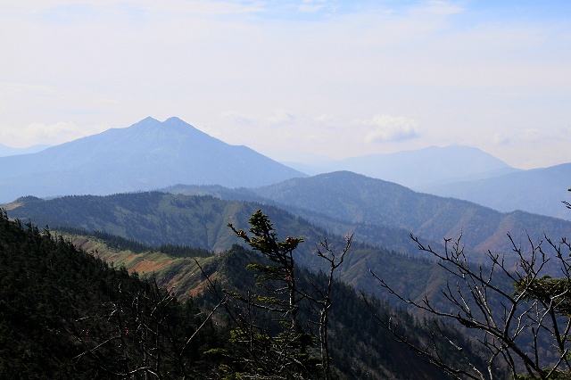 e0137200_101675.jpg