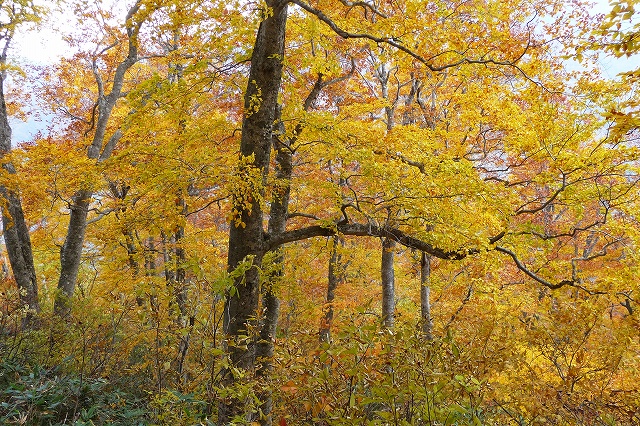 e0137200_1174420.jpg