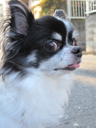 a0079803_2229568.jpg