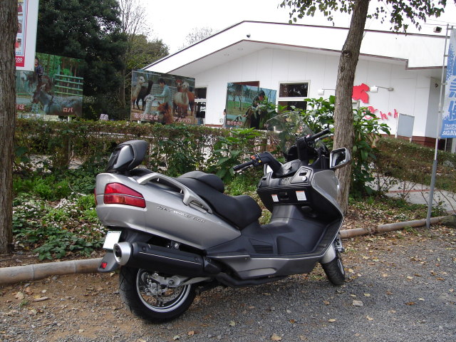 a0116205_2261665.jpg