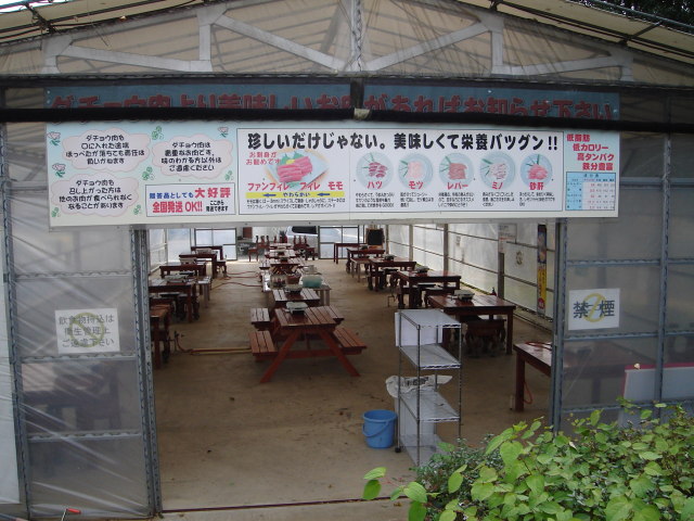 a0116205_2272115.jpg