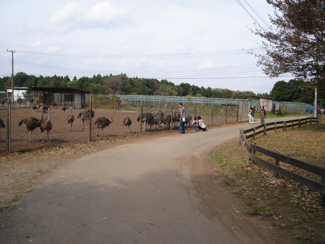 a0116205_2281638.jpg