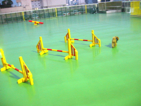 c0110906_1013930.jpg