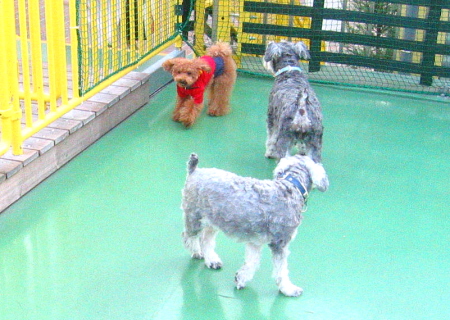 c0110906_103235.jpg