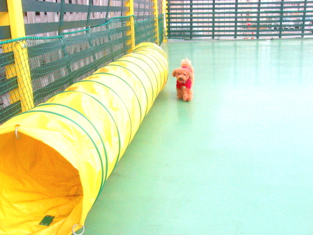 c0110906_104877.jpg