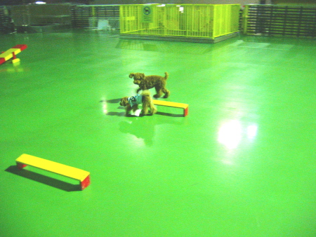c0110906_1135041.jpg