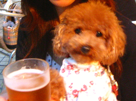 c0110906_1281368.jpg