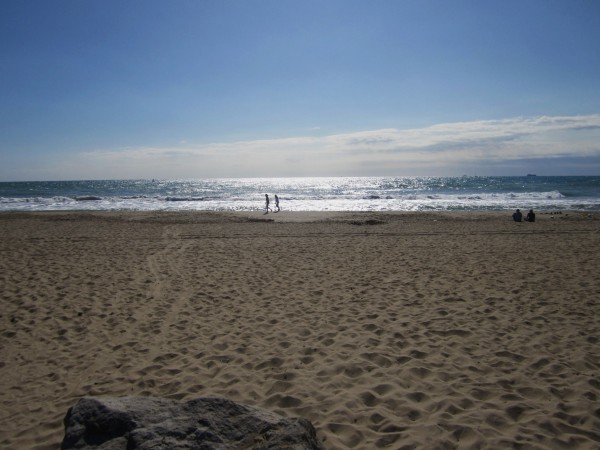 b0064411_26442.jpg