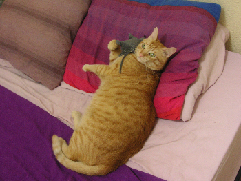 e0115312_0463313.jpg