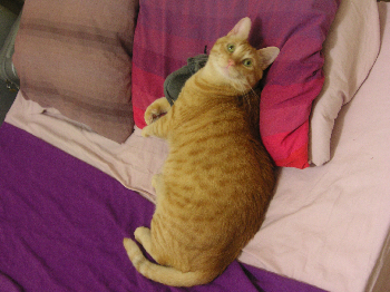 e0115312_04703.jpg