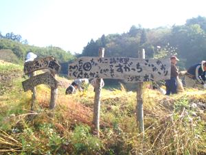 e0097615_1254236.jpg