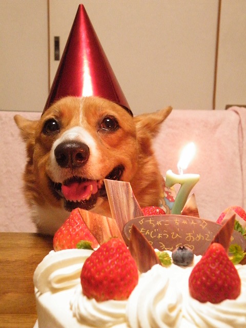 c0127617_23365211.jpg