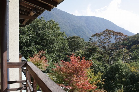 f0117618_2341464.jpg