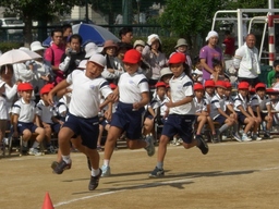 f0132619_1871221.jpg