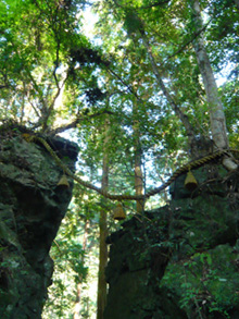 b0019820_22254949.jpg