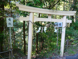 b0019820_2226222.jpg