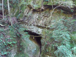 b0019820_2227735.jpg