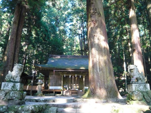 b0019820_2235100.jpg