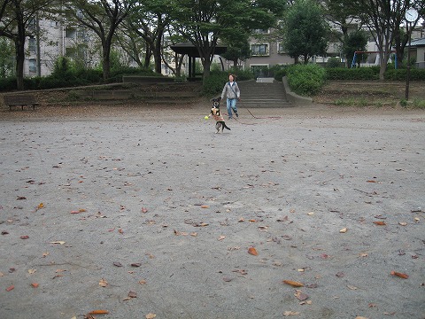 e0162524_23574083.jpg