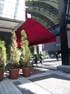 e0177824_2355834.jpg