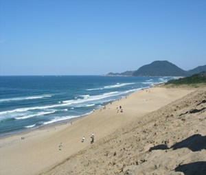 f0083426_015971.jpg