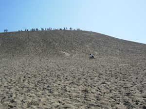 f0083426_0162199.jpg