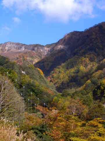 c0098228_6253729.jpg