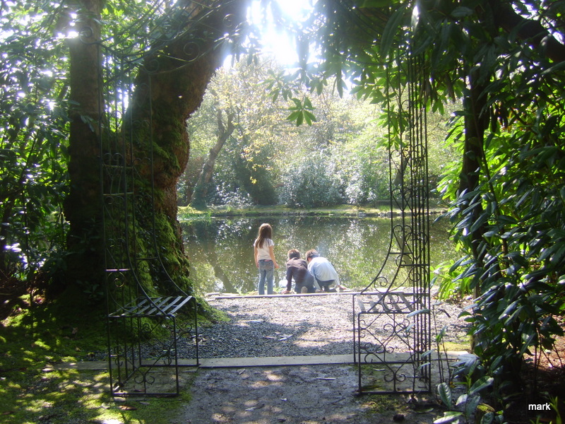 d0145528_20101555.jpg