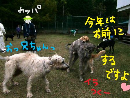 f0176830_18194537.jpg