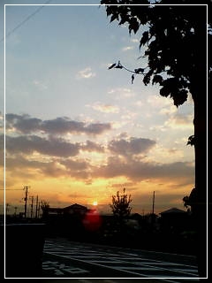 d0140133_8544359.jpg
