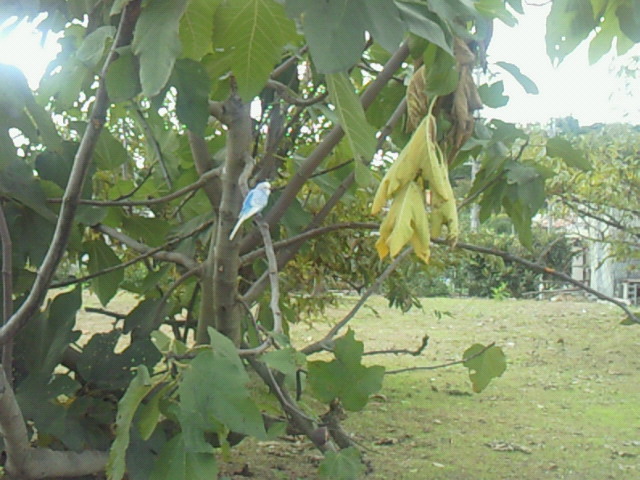 b0011334_23122132.jpg