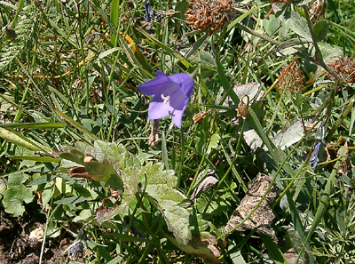a0101536_11141497.jpg