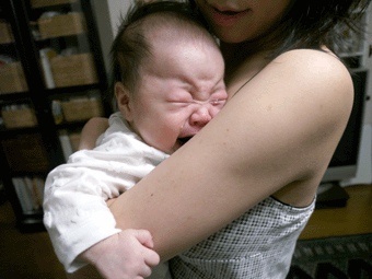 c0080038_19265690.gif