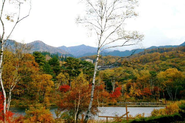 f0039538_2222364.jpg