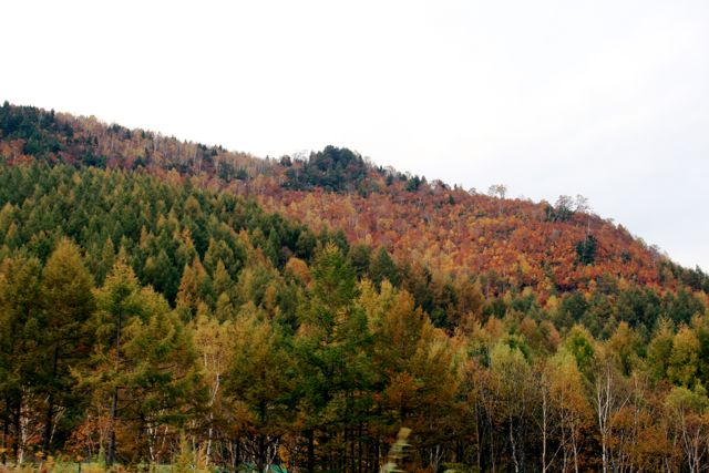 f0039538_2225182.jpg