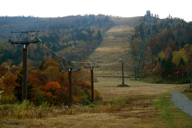 f0039538_2284055.jpg