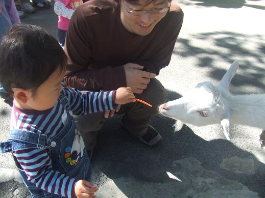 f0156739_1104744.jpg