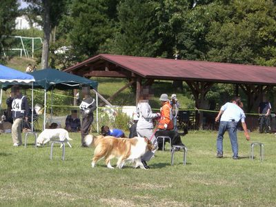 c0211540_12562845.jpg