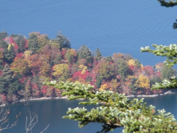 e0149340_22243942.jpg
