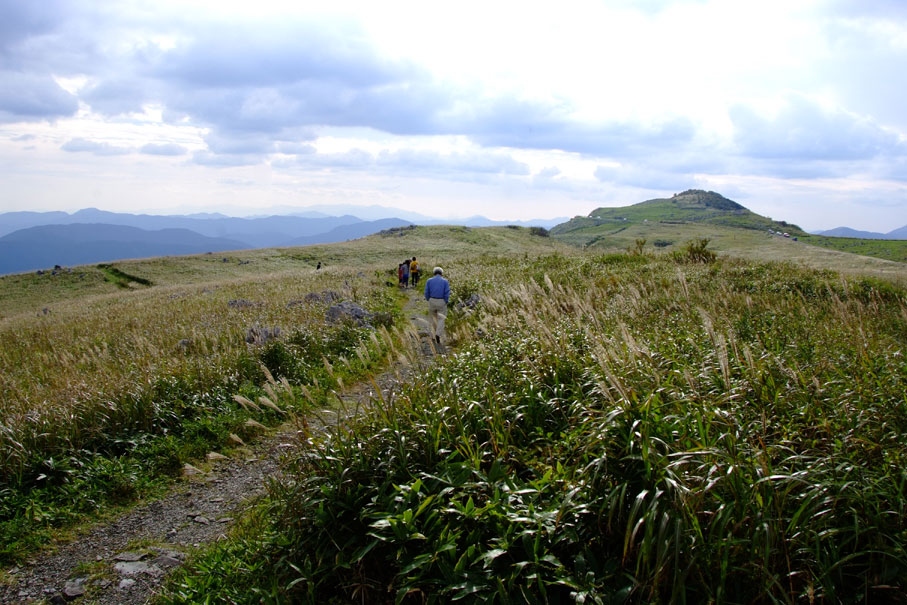 b0075541_556460.jpg