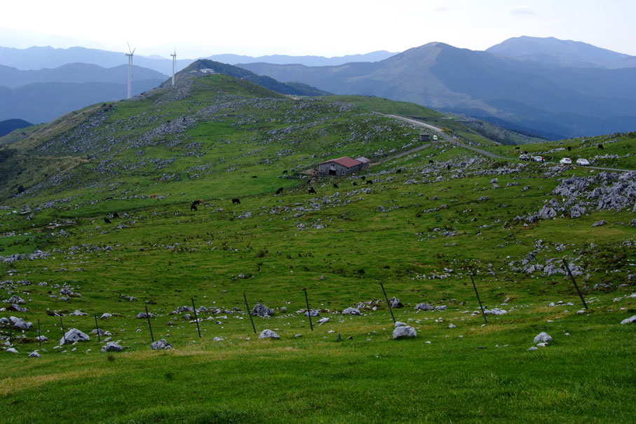b0075541_6105987.jpg